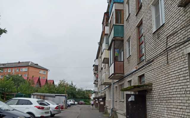 V Tsentre U Reki Pskovy Flat