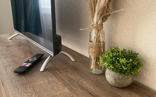 Квартира Елена Озерки