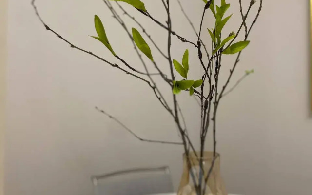 Апартаменты ВДНХ