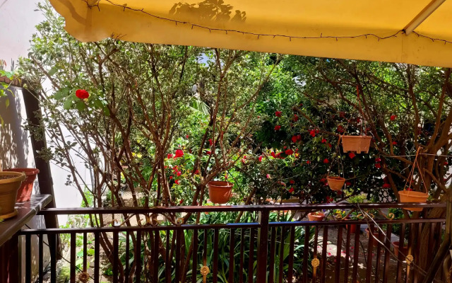 Chayka Guest House