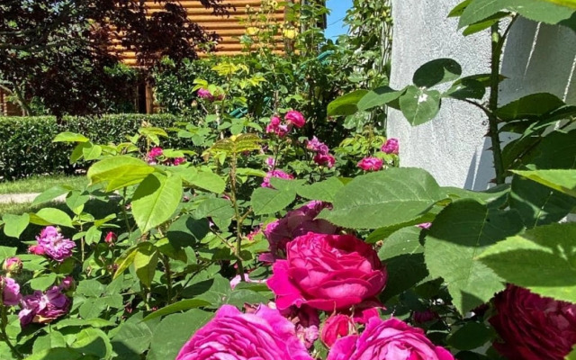 База Отдыха Эко-Усадьба 4 Сезона