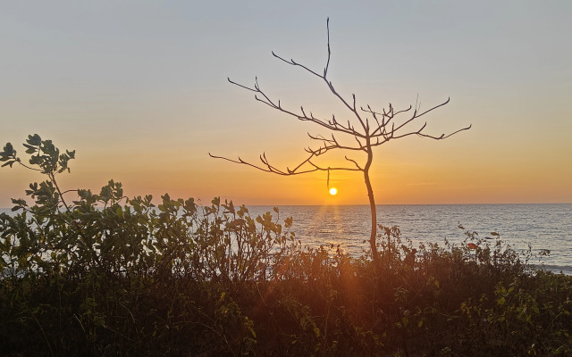 AuroraThai Apartments