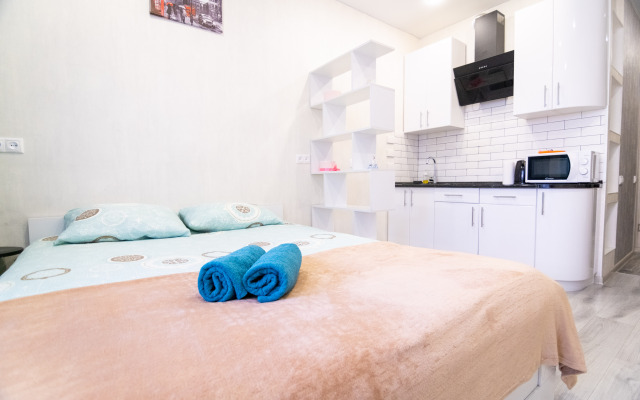Stylish Studio in Novostroe Apartments