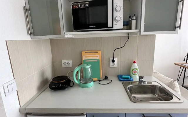 Квартира Студия с видом на город