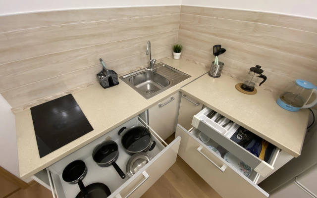 Апартаменты у Центра Петрова в Песочном