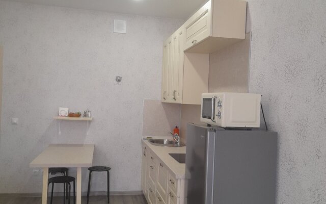 Апартаменты Студия на Светлогорском переулке