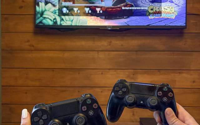 Гостевой дом Черный лис