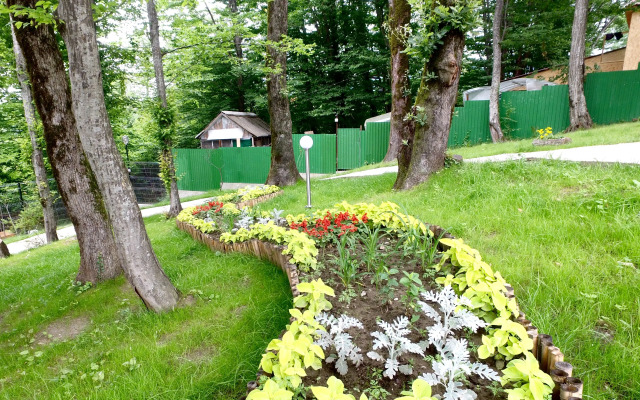 Апартаменты Яврум