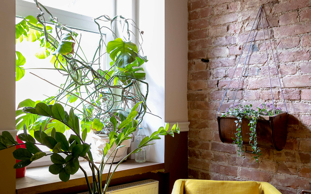 Апартаменты Element