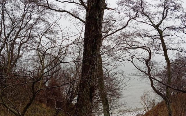 Квартира на улице Прибрежная