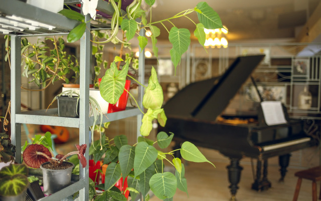 Бутик-отель Hotel Kenari