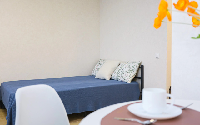 U Petrovny uyutnaya Studiya Flat