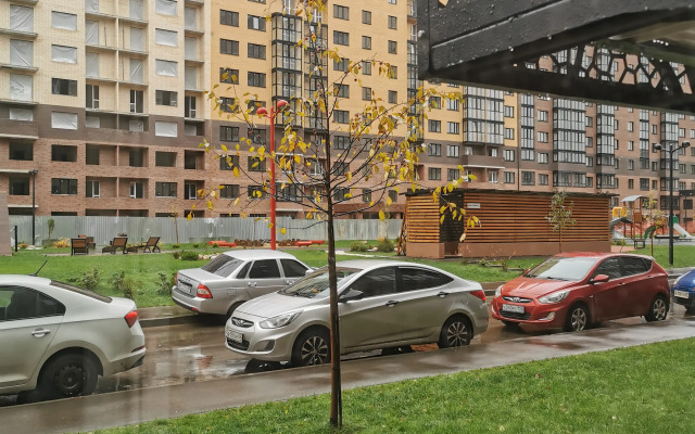 Serdtse Yuzhnogo Rayona Flat
