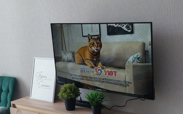 Novaya Uyutnaya Flat