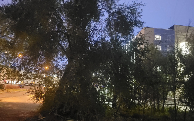 Апартаменты в Центре