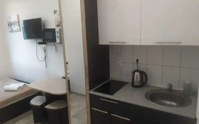 Апартаменты 7 на Смольной 44