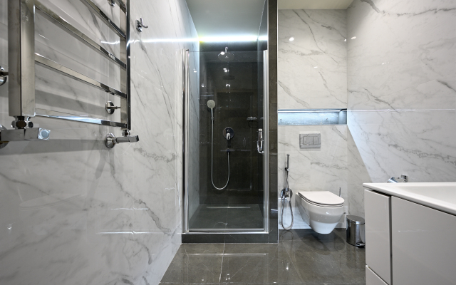 Elegantnaya kvartira na Pushkinskoy Apartments