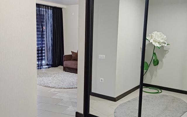 Kvartira Studiya U Zamka Apartments