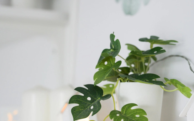 Квартира Студия в мансарде с видом у метро Чернышевская