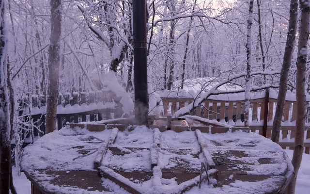 Частный дом в лесу