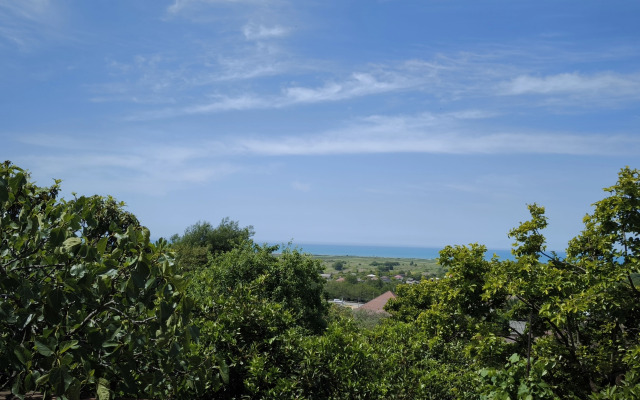 Tsitrus Guest house