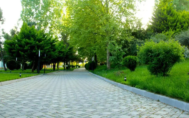 Отель Arena Sheki