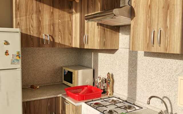 Knizhny Dom Flat