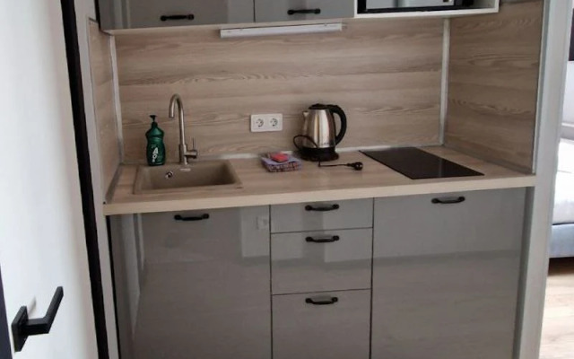 Апартаменты ZenApart Loft № 4