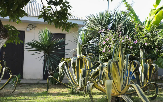 Resort Argo (gudauta)