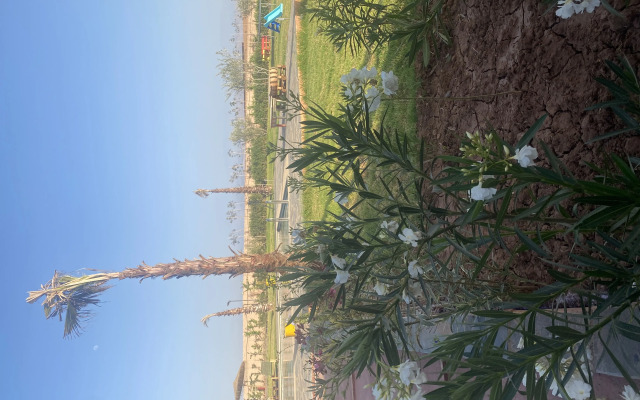 Family Village Marrakech Farm