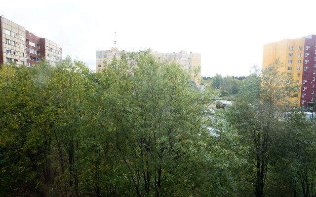 Квартира уютная в Петрозаводске