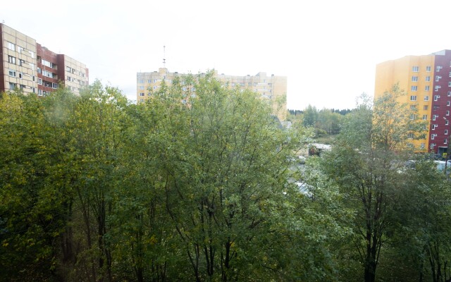 Uyutnaya V Petrozavodske Flat