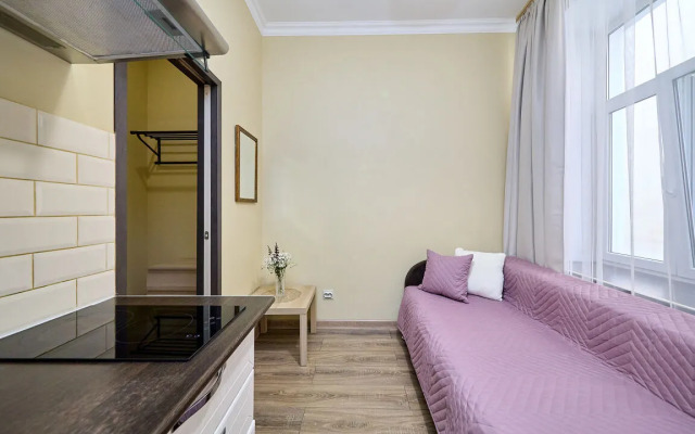 Апартаменты 4-я Советская 25 (5)