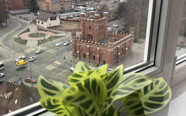 Апартаменты с Видом на Королевские Ворота