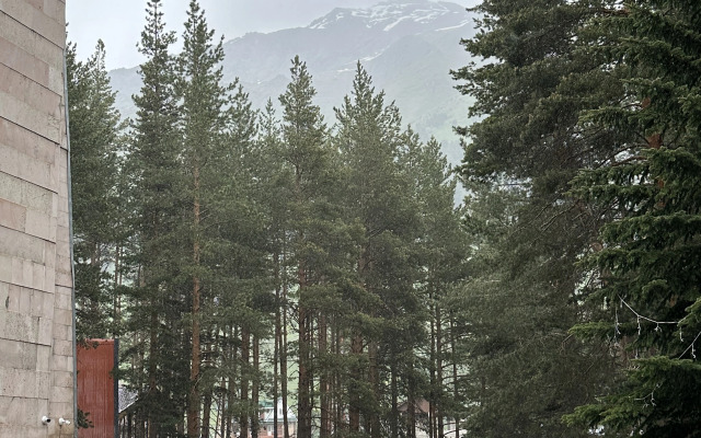 Hotel Volfram