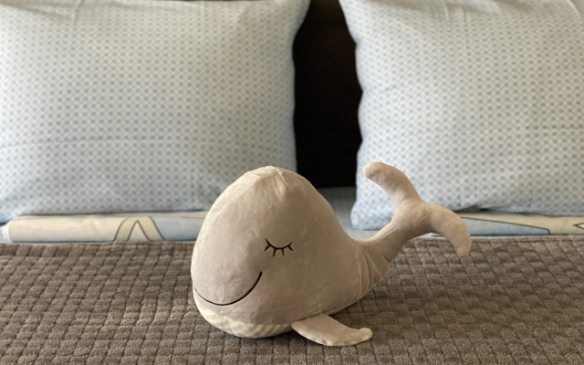 Апартаменты Розовый Кит