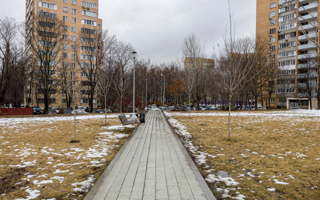 Квартира уютная и просторная