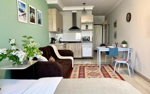 Апартаменты Студия Көктем с шикарным видом на город