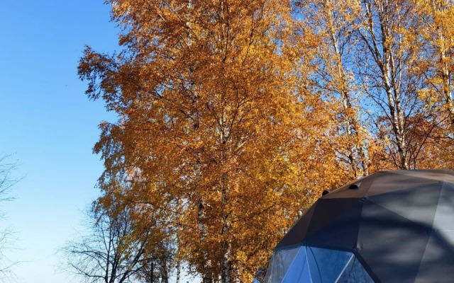 Nature Complex Vetreno