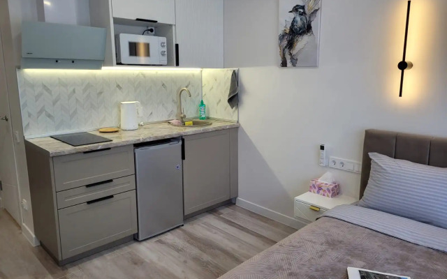Sovremennaya V Tsentre Goroda Flat
