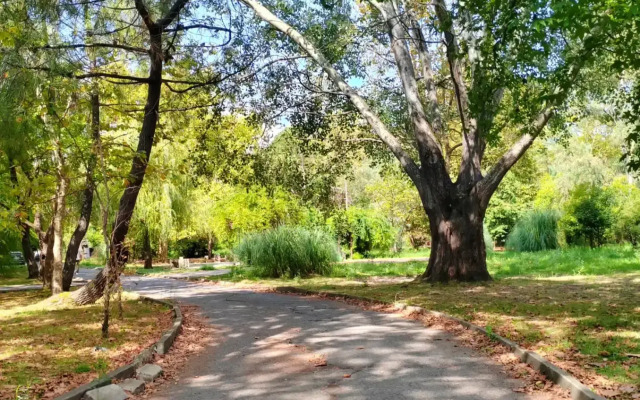 Semeynye Apartamenty Adler Apartments