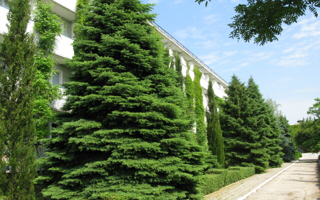 Kryimskoe Priazovie Sanatorium