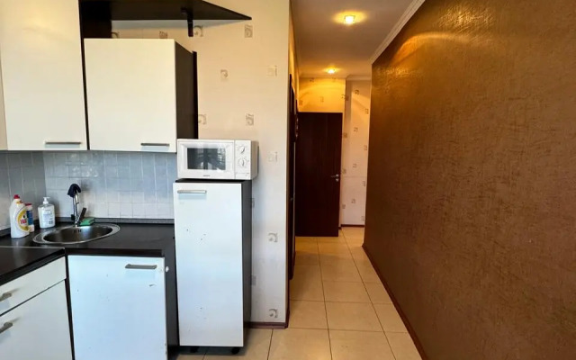 V Tsentre Bliz Naberezhnoy Flat