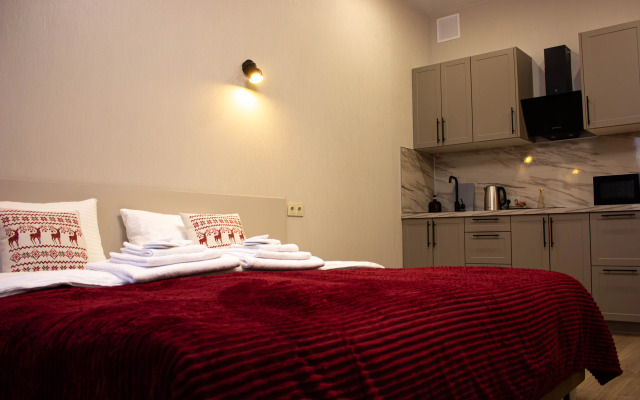 Апартаменты ДинДом 509