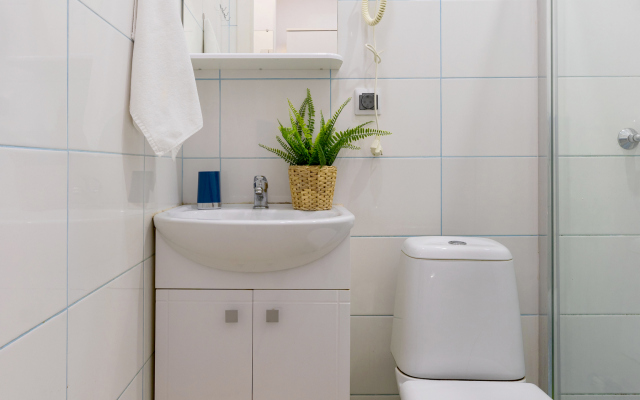 Апартаменты Гости Любят на Владимирской