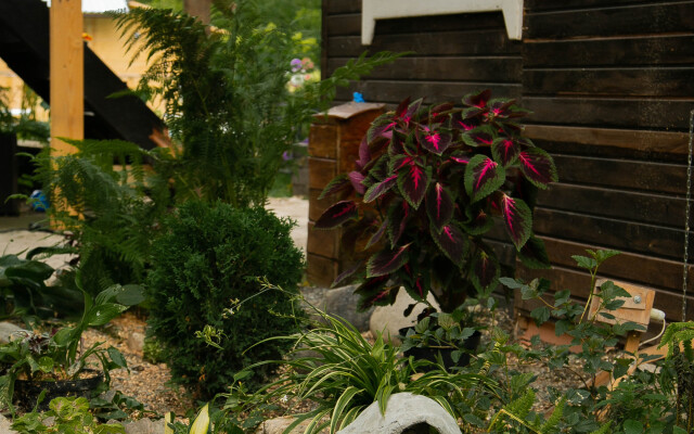 Usadyba Dobrynya Guest House