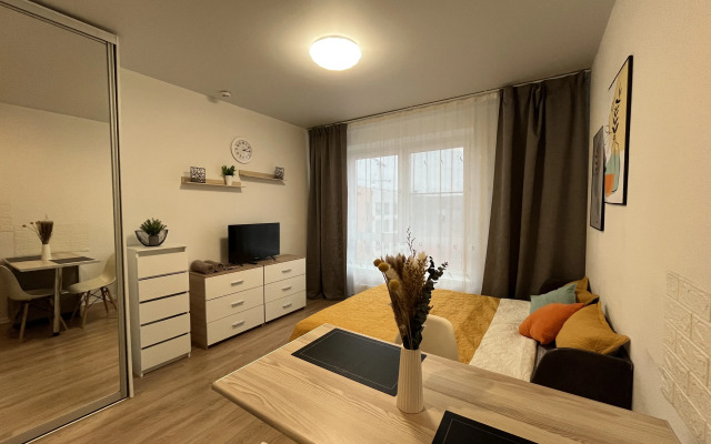 Vnukovo Apartment