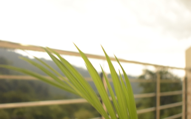 Nature S View Hotel