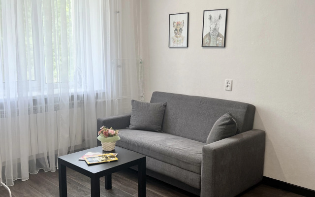 Na Prospekte Ibragimova 61 Flat