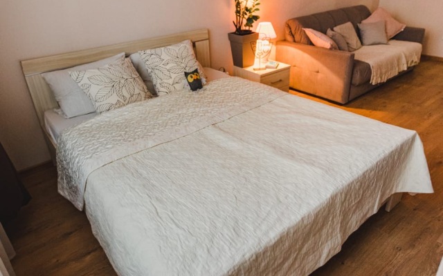 Uyutnaya Kvartira V Tsentre Ryazani Flat